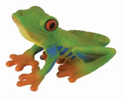 Red-Eyed Tree Frog