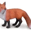 Red Fox