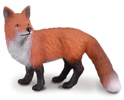Red Fox