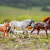 Sea Star and Playful Pony Family | Book & Horse Set