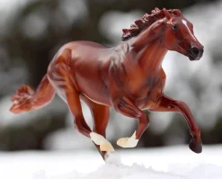 Secretariat