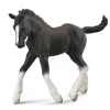 Shire Foal | Black