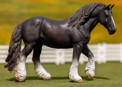 Shire Mare | Black