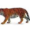 Siberian Tiger