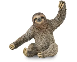 Sloth