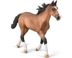Standardbred Pacer Stallion | Bay