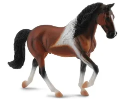 Tennessee Walking Horse Stallion | Bay Pinto