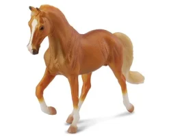 Tennessee Walking Horse Stallion | Golden Palomino