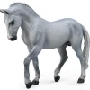 Trakehner Stallion | Grey