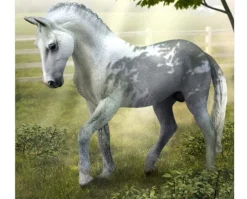 Trakehner Stallion | Grey