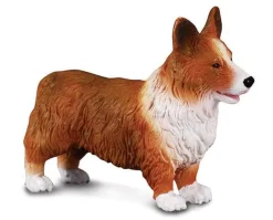 Welsh Corgi