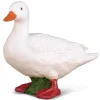 White Duck