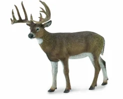 White-Tailed Deer