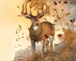 White-Tailed Deer
