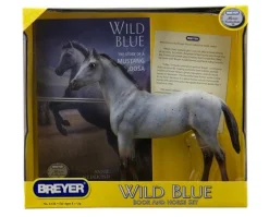 Wild Blue Book and Model Set