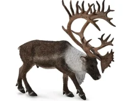 Woodland Caribou
